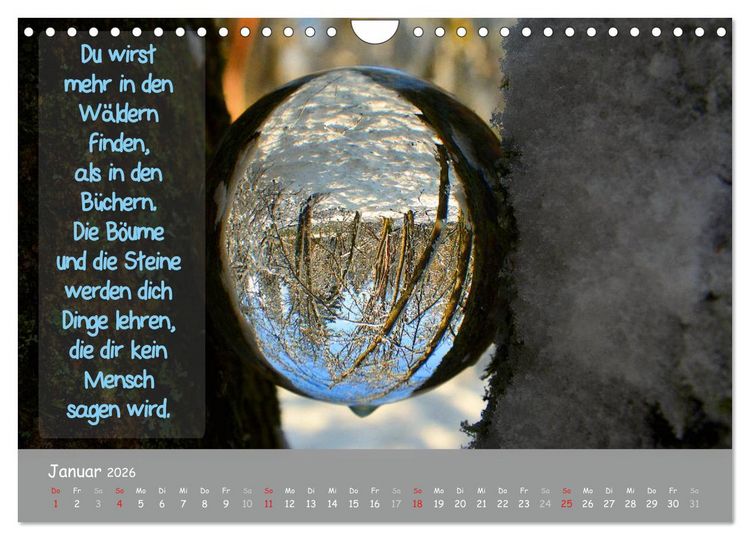 Produktbild: Wunderbare Waldkugeln (Wandkalender 2026 DIN A4 quer), CALVENDO Monatskalender