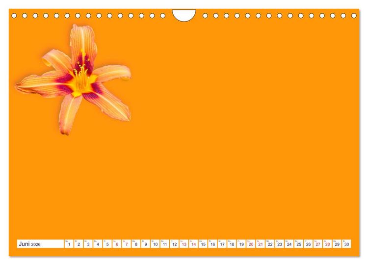 Produktbild: DIY POESIE - BASTELKALENDER (Wandkalender 2026 DIN A4 quer), CALVENDO Monatskalender