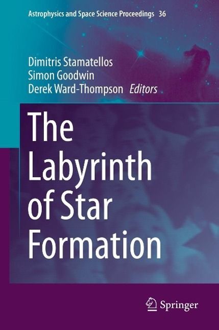 Produktbild: The Labyrinth of Star Formation