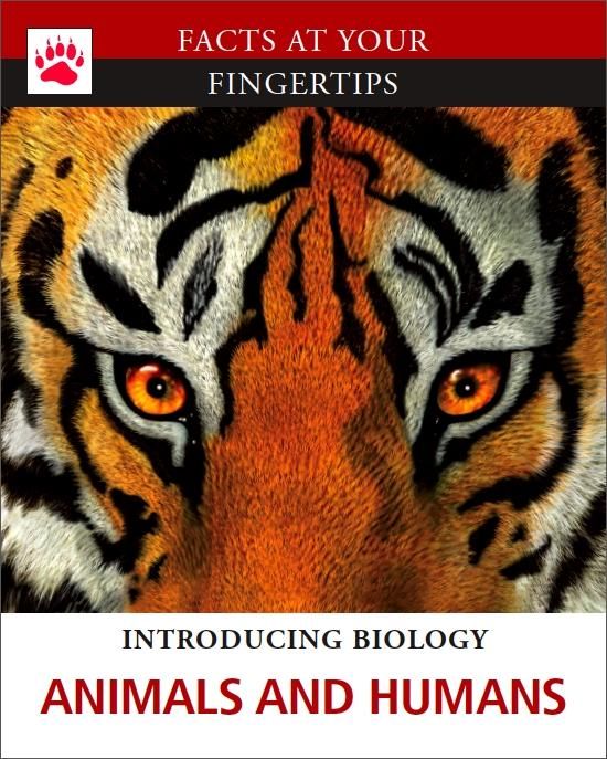Produktbild: Animals and Humans