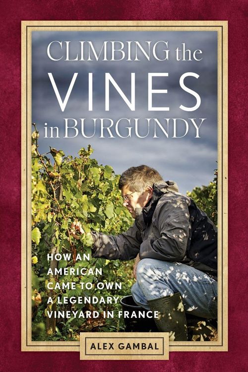 Produktbild: Climbing the Vines in Burgundy