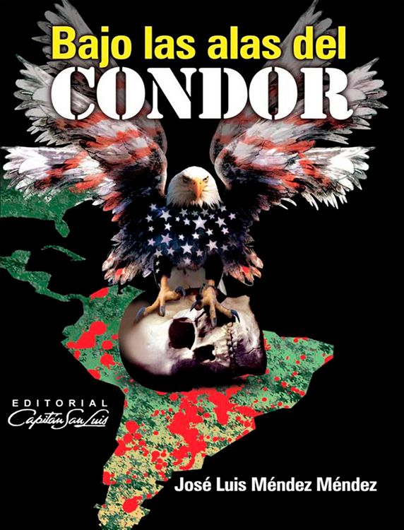 Produktbild: Bajo las alas del C&oacute;ndor