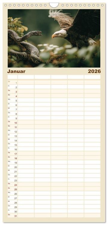 Produktbild: Familienplaner 2026 - Majest&auml;tische Wei&szlig;kopfseeadler - Der K&ouml;nig der L&uuml;fte mit 5 Spalten (Wandkalender, 21 x 45 cm) CALVENDO