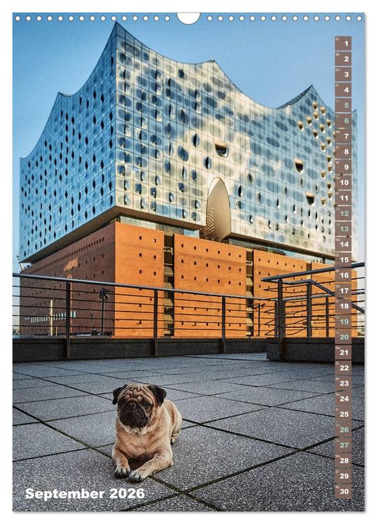 Produktbild: M&ouml;pse in Hamburg (Wandkalender 2026 DIN A3 hoch), CALVENDO Monatskalender