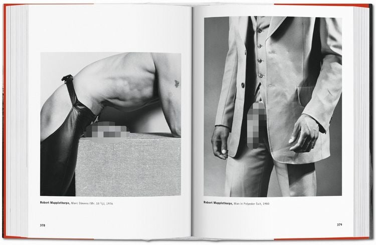 Produktbild: The Male Nude
