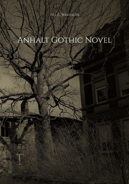 Produktbild: Anhalt Gothic Novel
