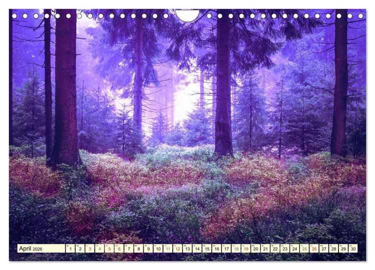 Produktbild: Mystische W&auml;lder - Zauber der Natur (Wandkalender 2026 DIN A4 quer), CALVENDO Monatskalender