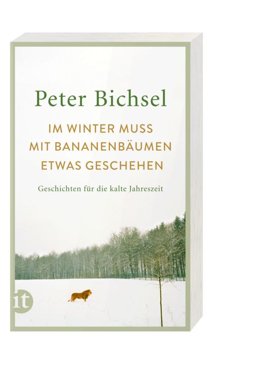 Produktbild: Im Winter muss mit Bananenb&auml;umen etwas geschehen