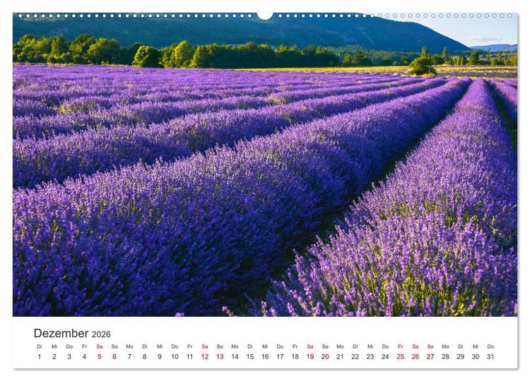 Produktbild: Tr&auml;ume aus Lavendel, Provence in Rosa bis Lila (hochwertiger Premium Wandkalender 2026 DIN A2 quer), Kunstdruck in Hochglanz