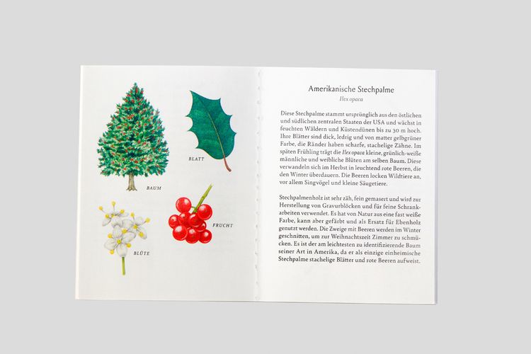 Produktbild: Baum-Familien