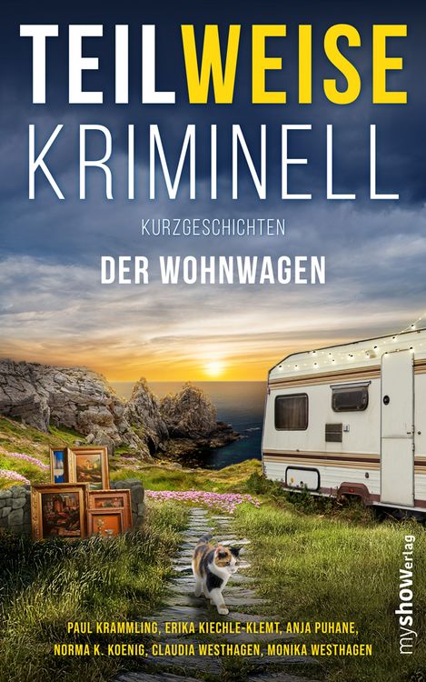 Produktbild: Teilweise Kriminell
