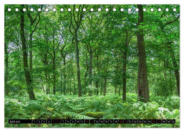 Produktbild: Bottrops sch&ouml;ne Flecken (Tischkalender 2027 DIN A5 quer), CALVENDO Monatskalender