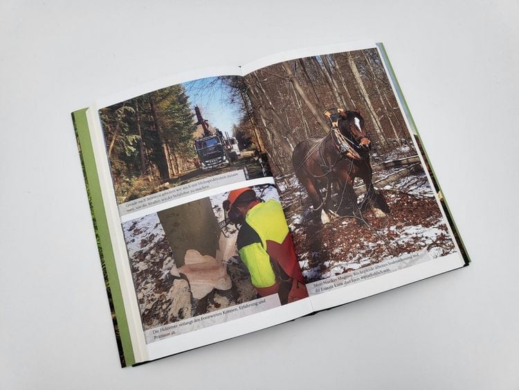 Produktbild: Der Wald der Zukunft
