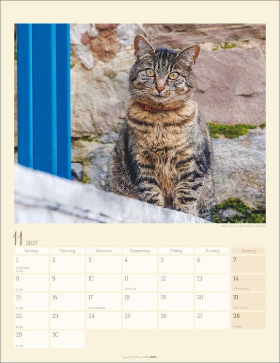Produktbild: Katzen auf dem Lande Kalender 2027