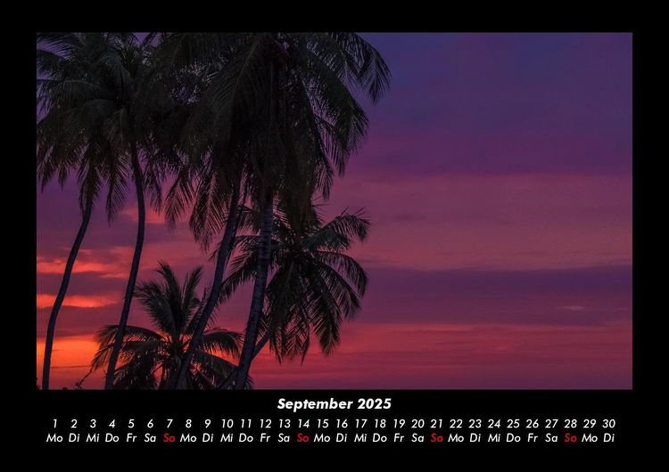 Produktbild: Palmentraum 2025 Fotokalender DIN A3