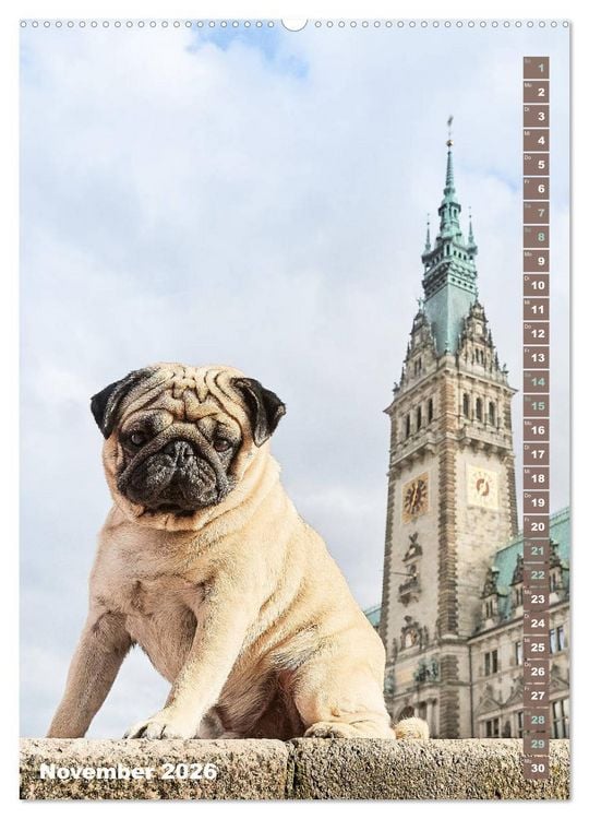 Produktbild: M&ouml;pse in Hamburg (Wandkalender 2026 DIN A2 hoch), CALVENDO Monatskalender