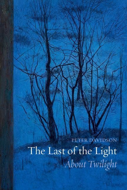 Produktbild: Davidson, P: The Last of the Light