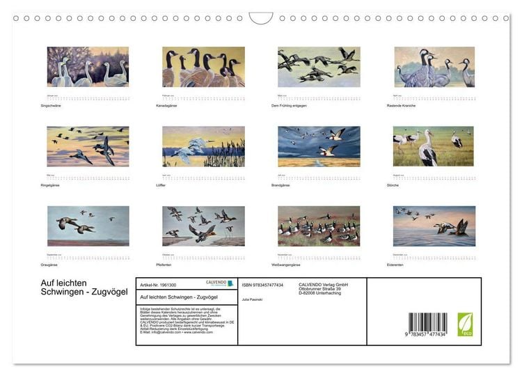 Produktbild: Auf leichten Schwingen - Zugv&ouml;gel (Wandkalender 2026 DIN A3 quer), CALVENDO Monatskalender