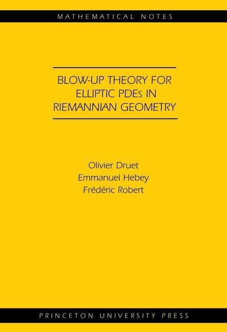 Produktbild: Blow-up Theory for Elliptic PDEs in Riemannian Geometry (MN-45)