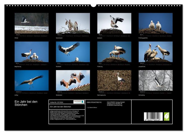 Produktbild: Ein Jahr bei den St&ouml;rchen (hochwertiger Premium Wandkalender 2026 DIN A2 quer), Kunstdruck in Hochglanz