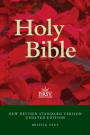 Produktbild: Nrsvue Popular Text Bible, Nr530: T