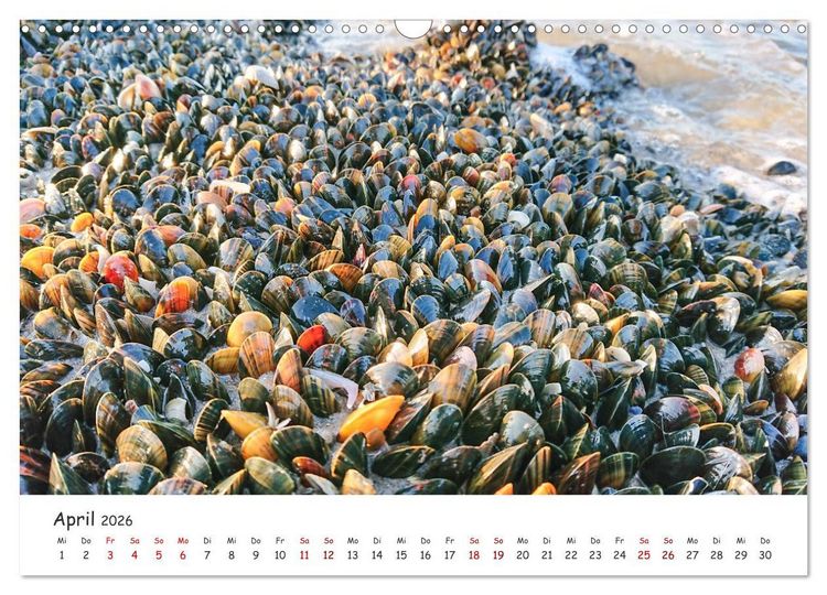 Produktbild: D&uuml;nen und Meer Nordseemomente (Wandkalender 2026 DIN A3 quer), CALVENDO Monatskalender