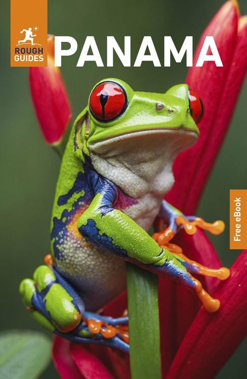 Produktbild: Rough Guides Panama: Travel Guide with eBook