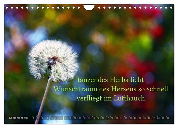 Produktbild: Haiku - Gedichte in 17 Silben (Wandkalender 2026 DIN A4 quer), CALVENDO Monatskalender