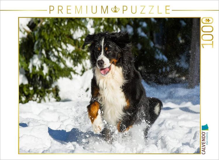 Produktbild: CALVENDO Puzzle Berner Sennenhund im Schnee | 1000 Teile Lege-Gr&ouml;&szlig;e 64x48cm Foto-Puzzle f&uuml;r gl&uuml;ckliche Stunden