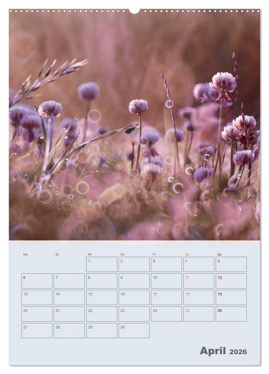 Produktbild: Magie im Garten (hochwertiger Premium Wandkalender 2026 DIN A2 hoch), Kunstdruck in Hochglanz