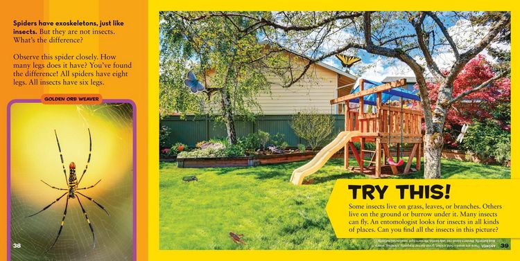 Produktbild: Little Kids First Big Book of Science