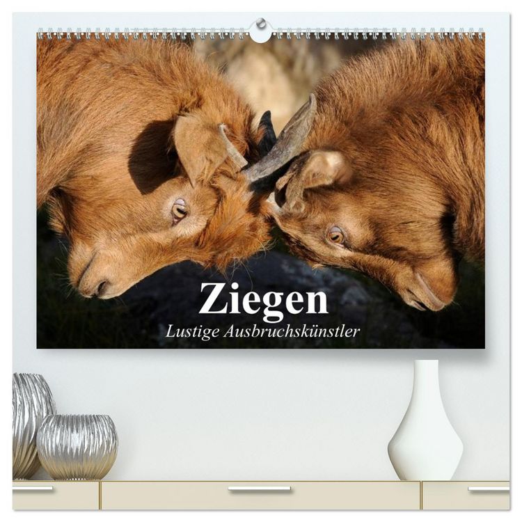 Produktbild: Ziegen. Lustige Ausbruchsk&uuml;nstler (hochwertiger Premium Wandkalender 2026 DIN A2 quer), Kunstdruck in Hochglanz