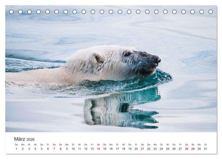 Produktbild: Zwischen den Eisbergen in Gr&ouml;nland (Tischkalender 2026 DIN A5 quer), CALVENDO Monatskalender