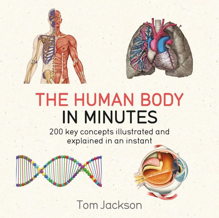 Produktbild: The Human Body in Minutes