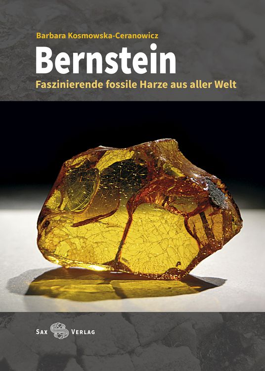 Produktbild: Bernstein