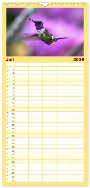 Produktbild: Familienplaner 2026 - Kolibris; Anmut, Sch&ouml;nheit, Farben mit 5 Spalten (Wandkalender, 21 x 45 cm) CALVENDO