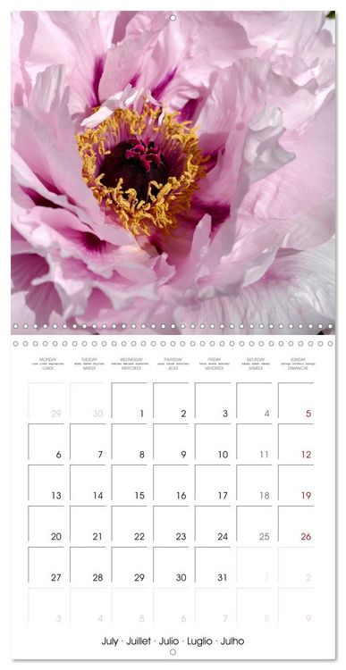 Produktbild: Peonies as painted (Wall Calendar 2026 12 &times; 12 Inch) CALVENDO 12 Month Wall Calendar