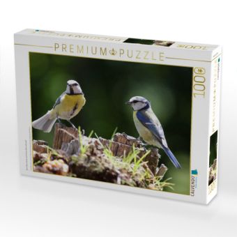 Produktbild: CALVENDO Puzzle Zwei Blaumeisen auf einem Baumstumpf | 1000 Teile Lege-Gr&ouml;&szlig;e 64x48cm Foto-Puzzle f&uuml;r gl&uuml;ckliche Stunden