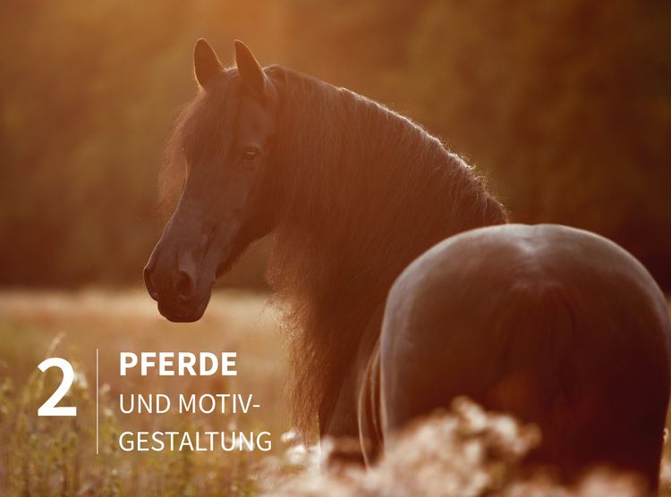 Produktbild: Pferde stilvoll fotografieren