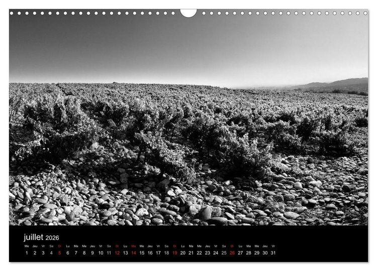 Produktbild: VIGNES DU SUD terroirs d'AOC (Calendrier mural 2026 DIN A3 vertical), CALVENDO calendrier mensuel