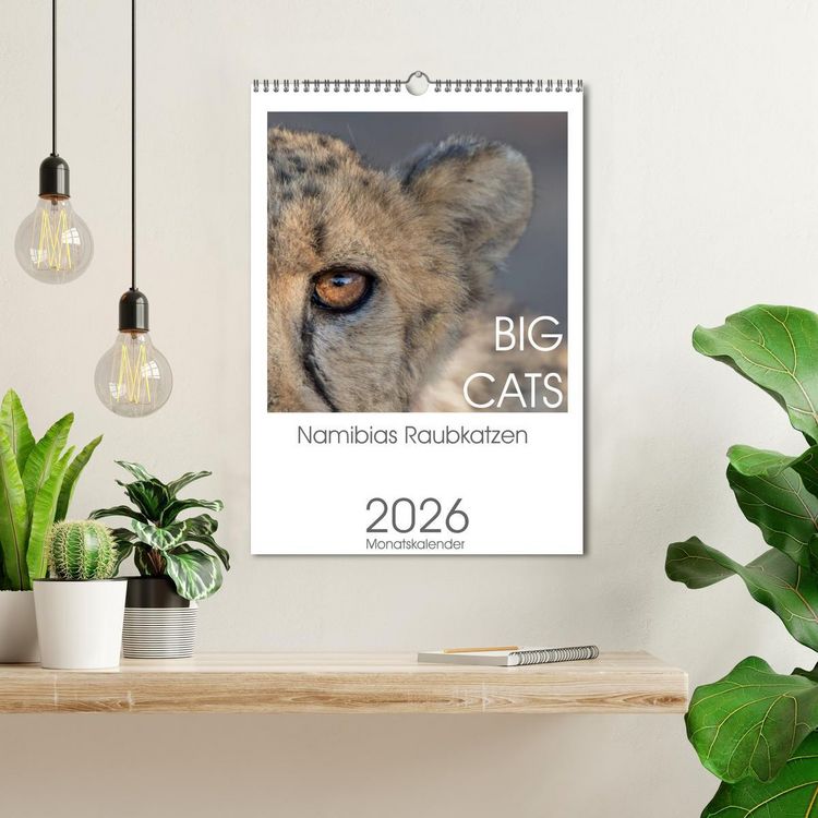 Produktbild: BIG CATS - Namibias Raubkatzen (Wandkalender 2026 DIN A3 hoch), CALVENDO Monatskalender