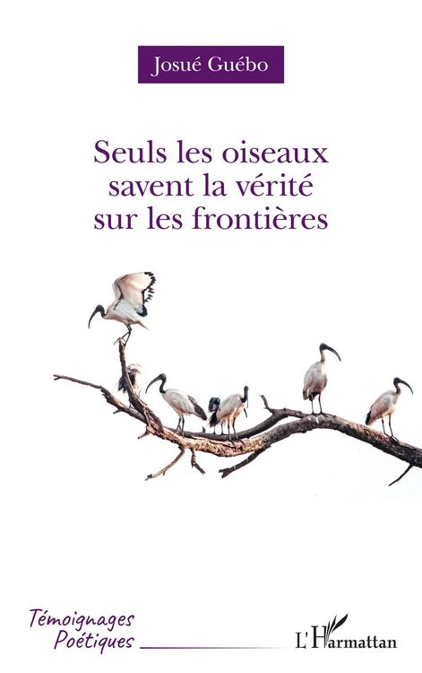 Produktbild: Seuls les oiseaux savent la v&eacute;rit&eacute; sur les fronti&egrave;res