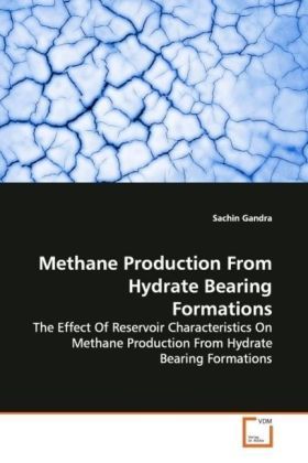 Produktbild: Gandra, S: Methane Production From Hydrate Bearing Formation