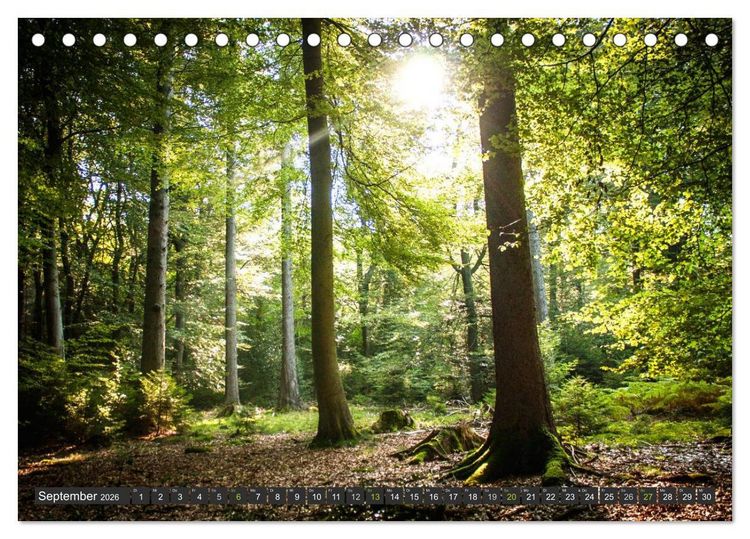 Produktbild: Unterwegs im Hunsr&uuml;ck (Tischkalender 2026 DIN A5 quer), CALVENDO Monatskalender