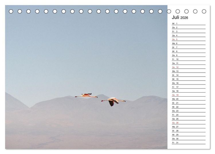 Produktbild: Mein Flamingo Planer (Tischkalender 2026 DIN A5 quer), CALVENDO Monatskalender