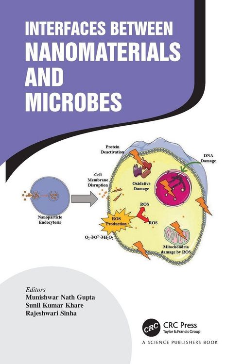 Produktbild: Interfaces Between Nanomaterials and Microbes