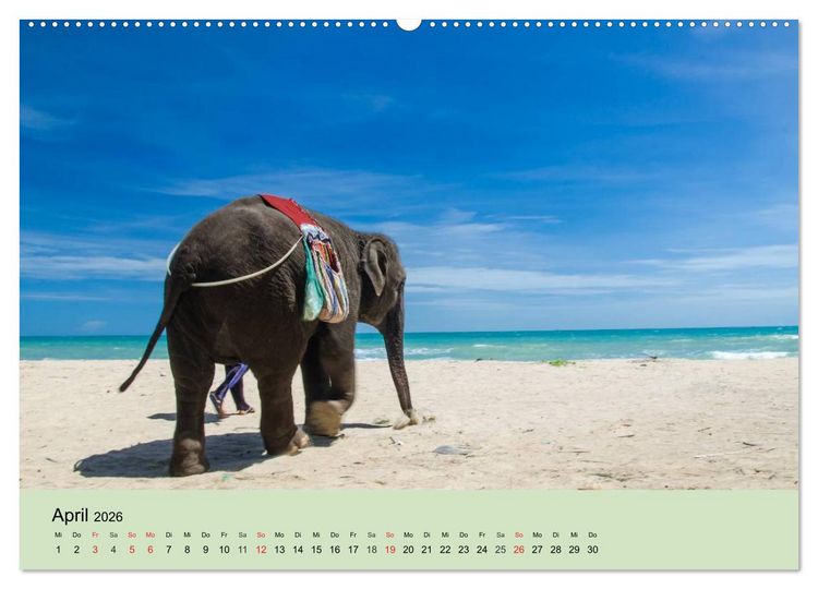 Produktbild: Elefanten. Badespa&szlig; am Strand (hochwertiger Premium Wandkalender 2026 DIN A2 quer), Kunstdruck in Hochglanz