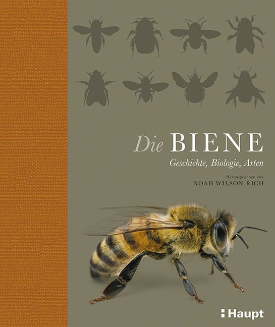 Produktbild: Die Biene