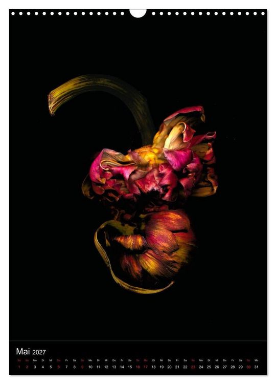 Produktbild: Blumen bei Nacht (Wandkalender 2027 DIN A3 hoch), CALVENDO Monatskalender