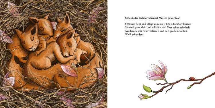 Produktbild: Trau dich, Ida!